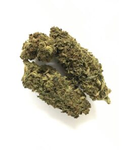420green Legal cannabis Haze
