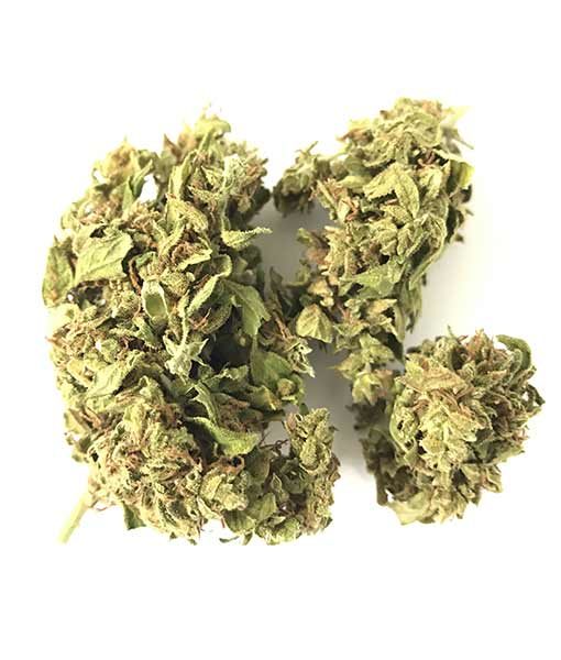 Fiore di cannabis legale
